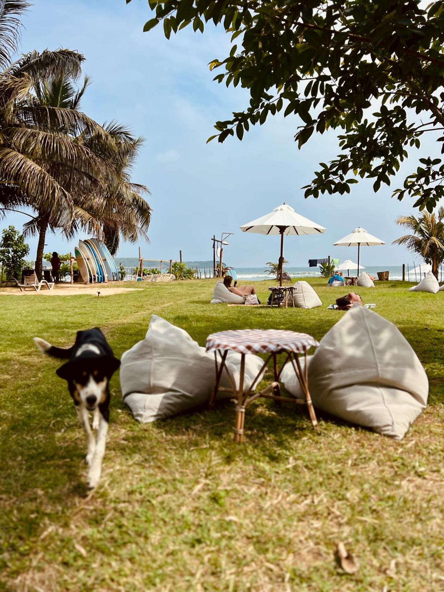 Calma - Surf, Yoga & Coffee On A Private Beach Dikwella Eksteriør billede